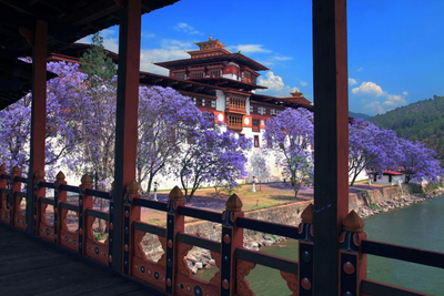 Sikkim und Bhutan Reise, Blick auf den Punakha Dzong
