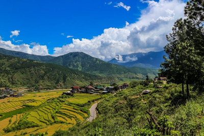 Sikkim und Bhutan Reise, Reisfelder in Wangdue Phodrang, Bhutan