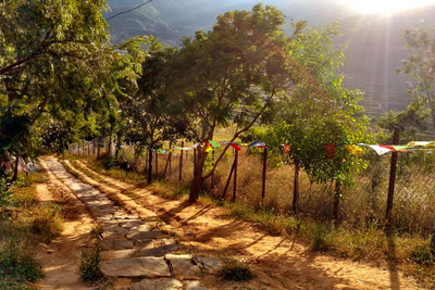 Malerisches Punakha Tal, Bhutan Luxusreise